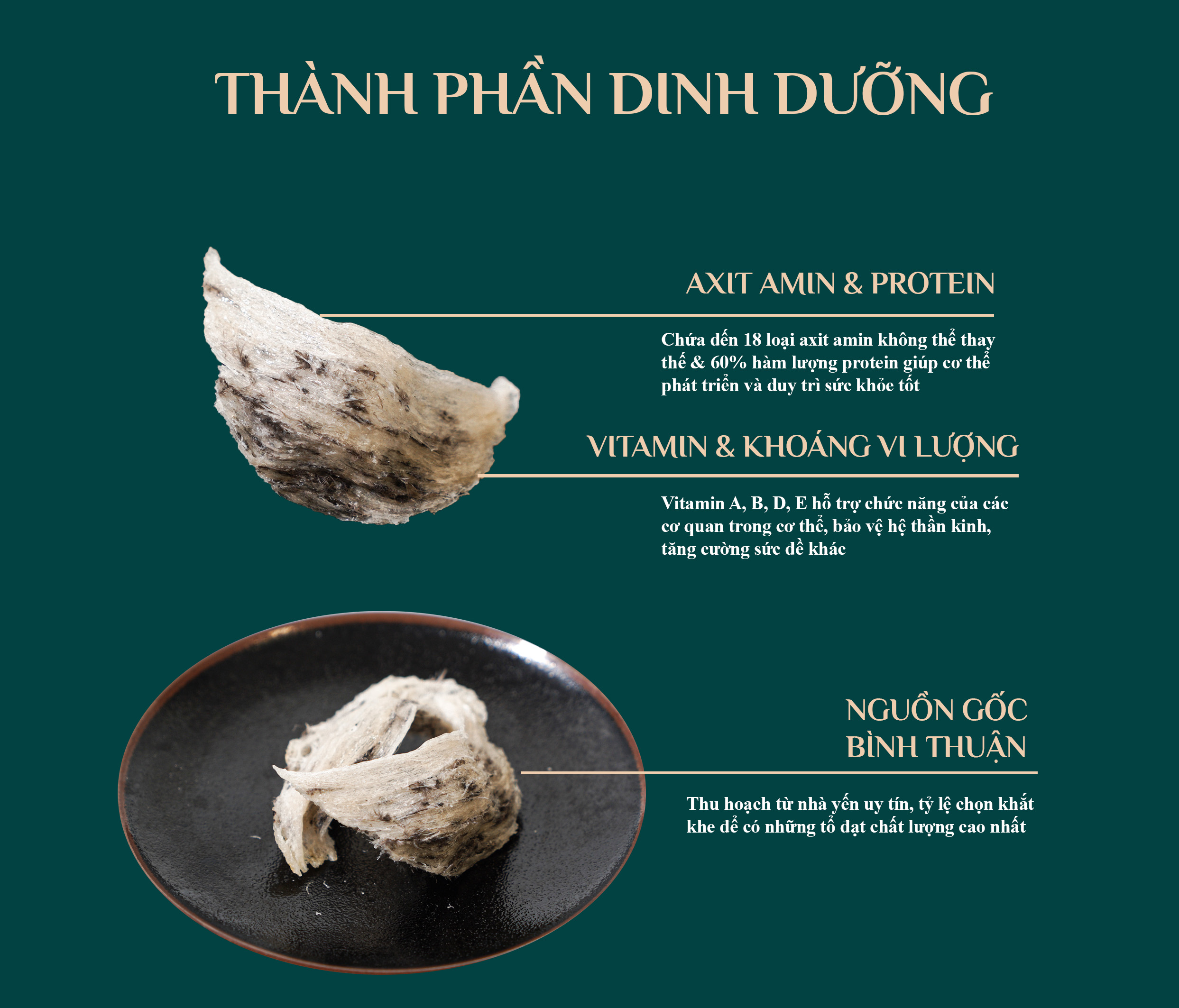 yen-tho-nguyen-to-51